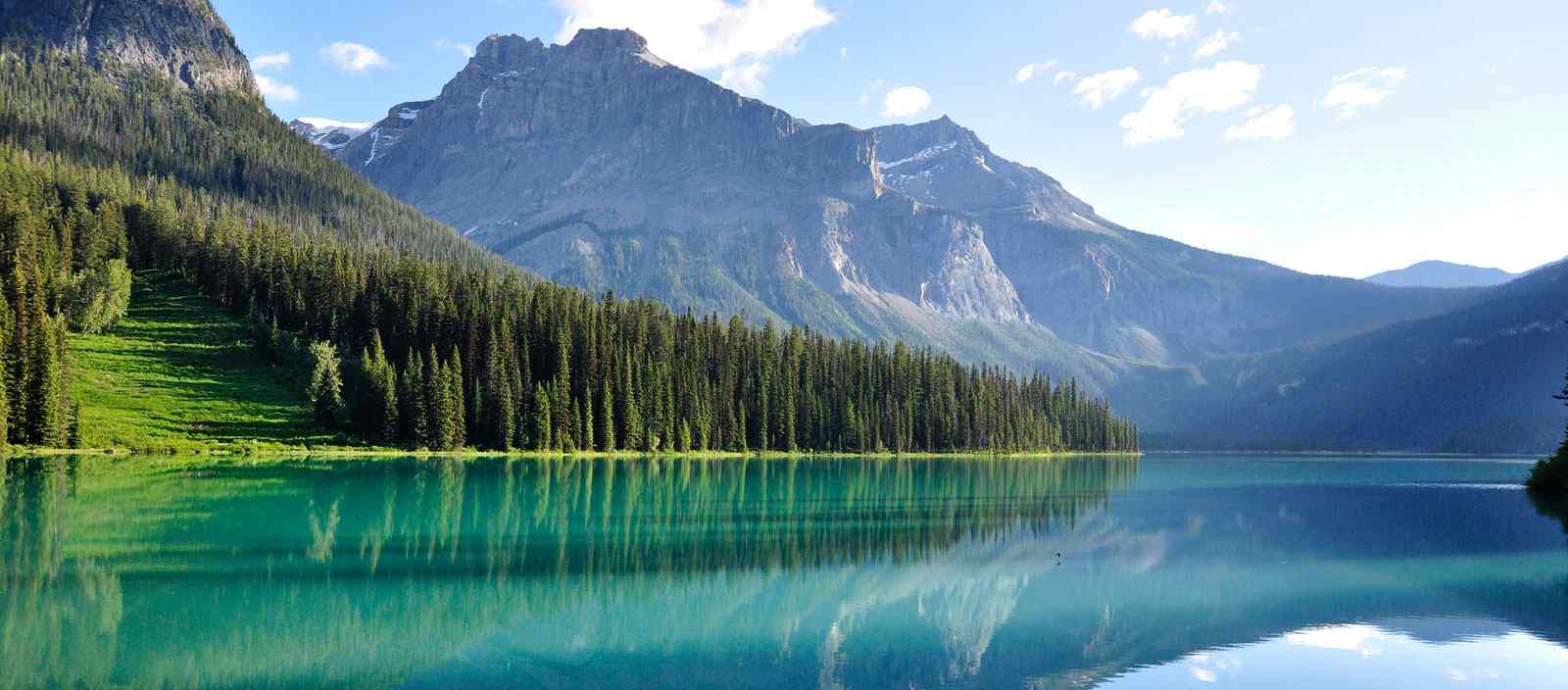 Immigration advisory services in Dubai and Abu Dhabi for Canada and Australia pathways, study and investor visas